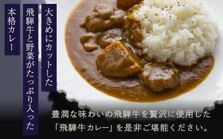 本格飛騨牛レトルトカレー 230g×3個 | 飛騨牛レトルトカレー 贅沢カレー 本格 中辛 ビーフカレー ご当地カレー 便利 簡単調理 高山市 高山フローラ EY003