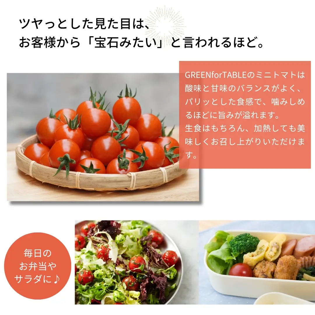 美粒トマト ミニトマト サンチェリー 1kg 2026年7月発送 トマト 新鮮 採れたて フレッシュ 野菜 農家直送 1キロ 人気 福島県 田村市 田村 GREEN for TABLE
