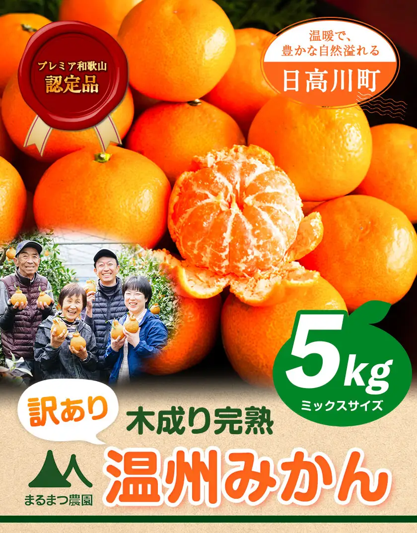 訳あり 木成り完熟温州 みかん 約 5kg ミックスサイズ 和歌山県産