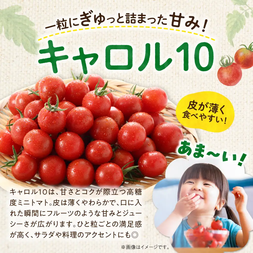 【先行予約：2026年9月上旬以降発送】余市町産丸型ミニトマト「キャロル10」 3Kg 高糖度 北海道余市町 自根栽培 濃厚_Y165-0002