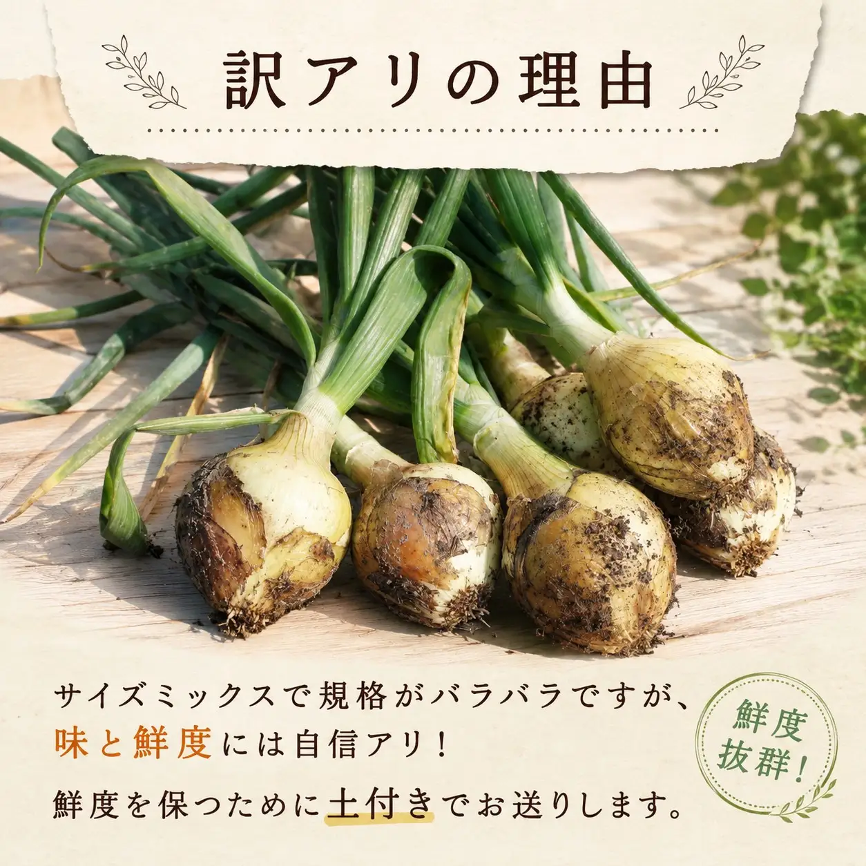 新玉ねぎ 8kg むぎとのやさい 新玉ねぎ【先行受付】