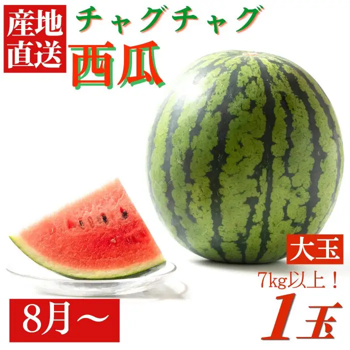 【2回 定期便 】 夏 ・ 秋 スイカ さつまいも 紅はるか 定期便 【駿河農園ベジスル】 滝沢スイカ すいか スイカ 西瓜 1玉 １玉 ２L 大玉 旬 フルーツ 果物 くだもの 芋 甘藷 かんしょ イモ 熟成 人気 美味しい 甘い おすすめ オススメ 産地直送 国産 岩手県産 オススメ おすすめ