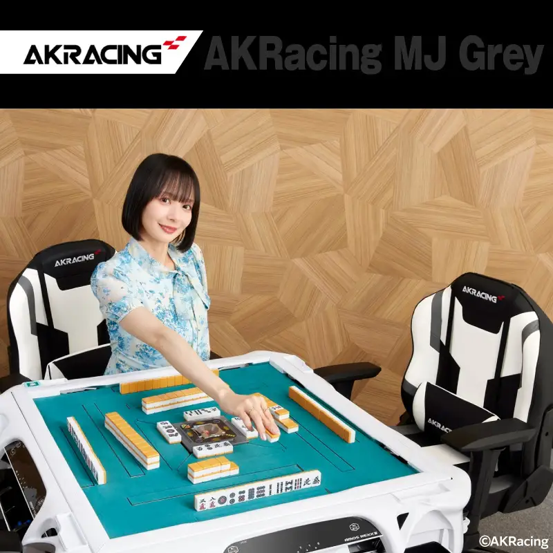 AKRacing MJ Grey エーケーレーシング ゲーミングチェア ローバックチェア（ランバーサポート付き）