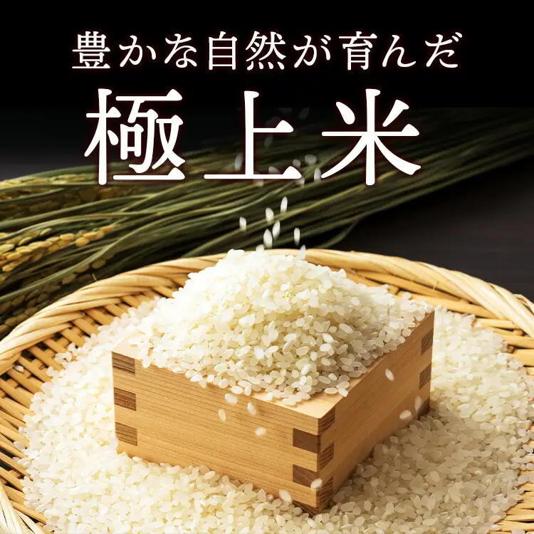 【10月発送】【定期便3ヵ月】令和8年産新米 コシヒカリ 無洗米 5kg×3ヵ月 計15kg ｜ お米 白米 米 こめ コメ ご飯 ふるさと納税米 定期便 国産 常温 栃木県 塩谷町 ※2026年10月～発送