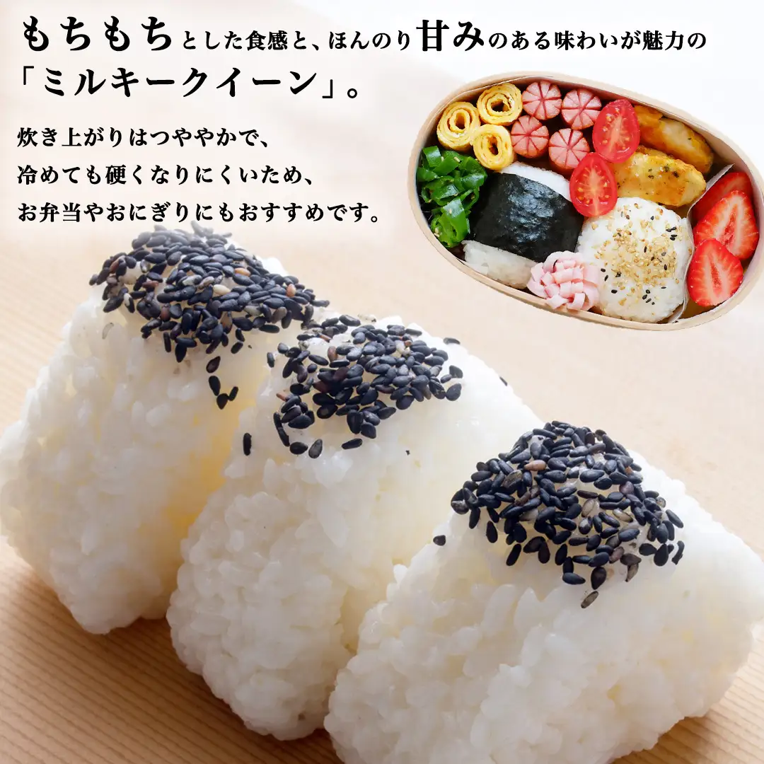 《 令和8年産 》 桜川市産 ミルキークイーン 10kg 新米 先行予約 茨城県 桜川市 米 お米 白米 コメ ごはん 精米 国産 限定 銘柄米 [SC072sa]
