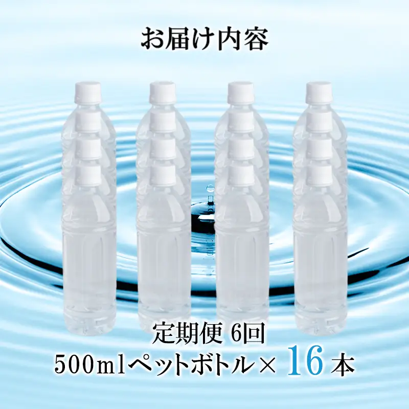 【桜屋】6回 定期便 シリカ天然水 サクラシリカ 500ml 16本 6回 計96本 シリカ含有量99mg/L シリカ水 ラベルレス 水 ミネラルウォーター 飲料水 飲料 ペットボトル ナチュラルウォーター サルフェート 炭酸水素イオン ミネラル 国産 阿蘇 小国郷