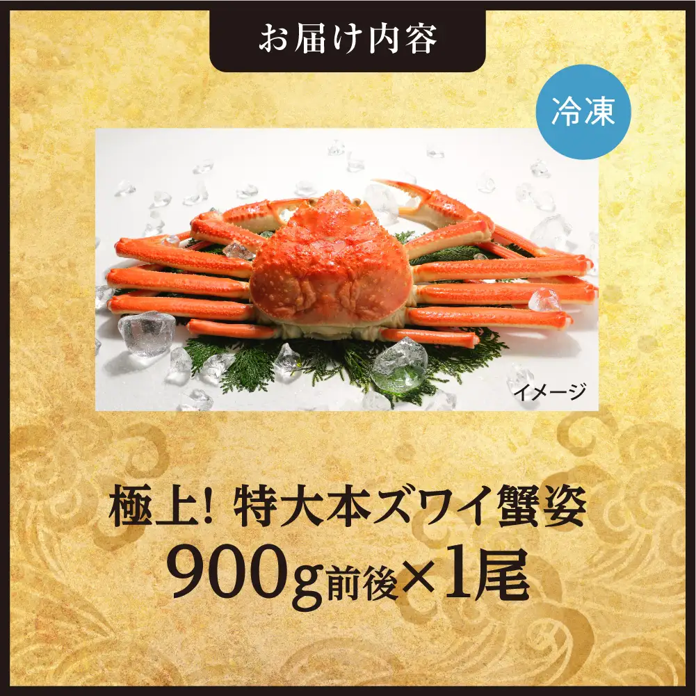 極上！特大本ズワイ蟹の姿　本ズワイ蟹　900g　1尾 | かに ズワイガニ 北海道 札幌市