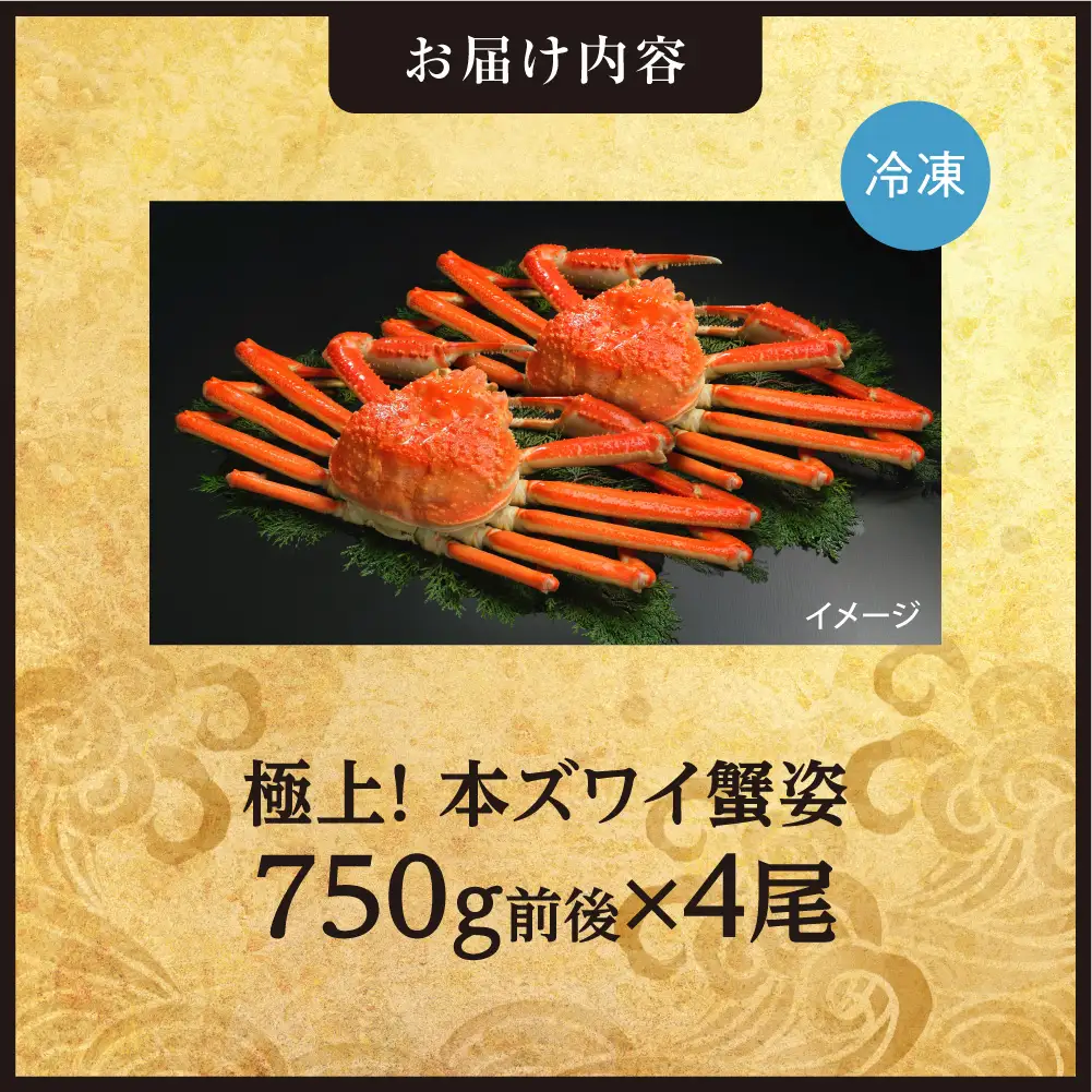 極上！本ズワイ蟹の姿　750g　4尾 | かに ズワイガニ 北海道 札幌市