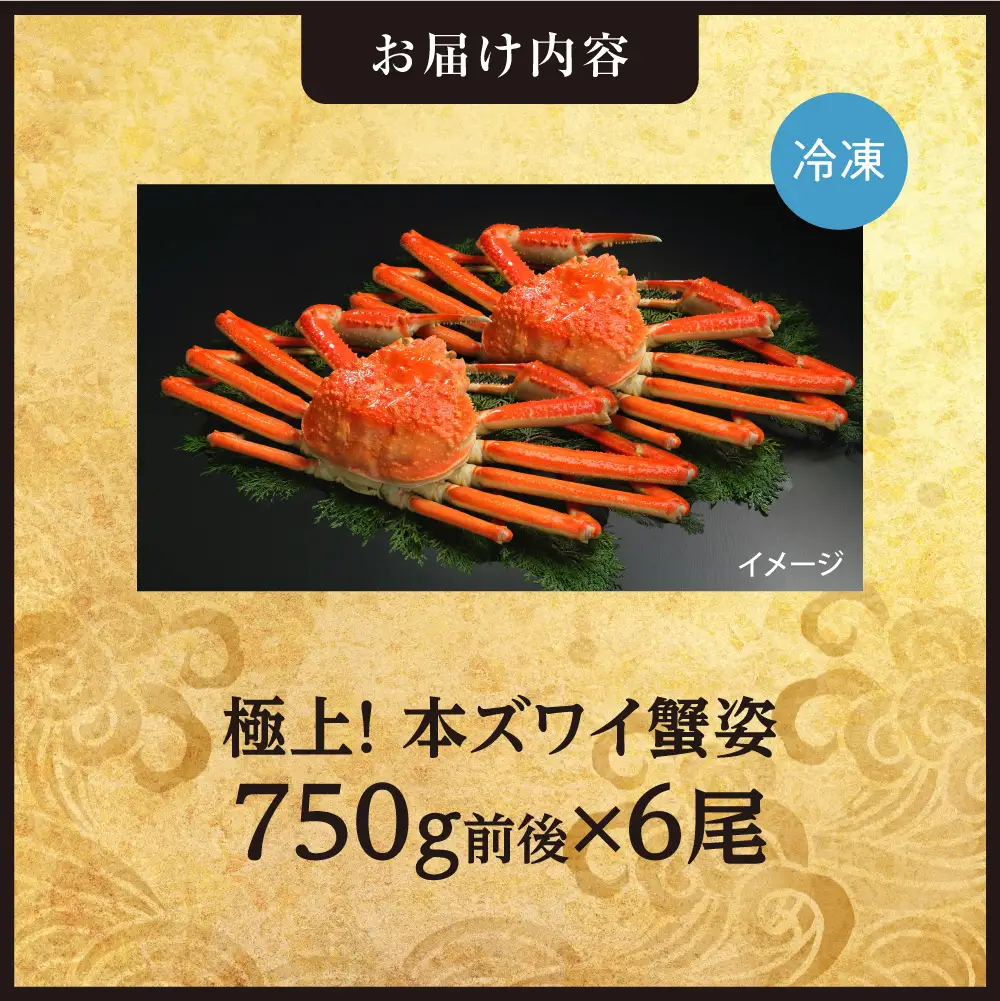 極上！本ズワイ蟹の姿　750g　6尾 かに ズワイガニ 北海道 札幌市|かに ズワイガニ 北海道 札幌市 北海道 札幌市