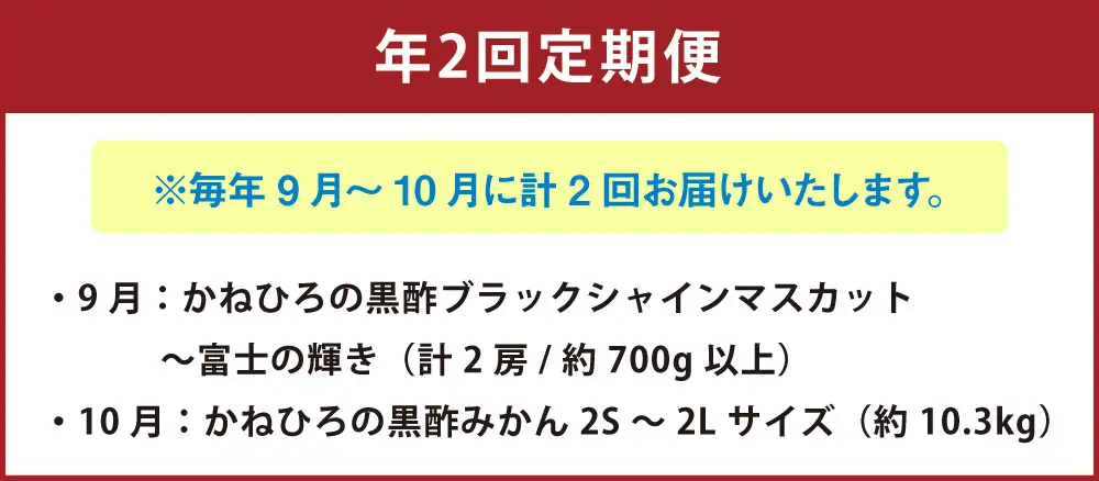 【 年2回定期便 （ 毎年9月 ・ 10月お届け予定 ） 】 かねひろの旬のフルーツ定期便 【 プレミアム 】 果物 くだもの フルーツ ブラックシャインマスカット みかん 旬 果実 果肉 国産 佐賀県産 冷蔵 常温 定期 定期配送
