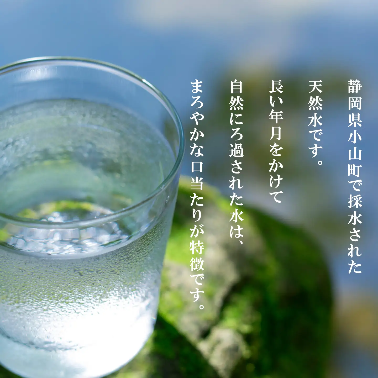 富士山のおいしい水 2L×6本×1ケース