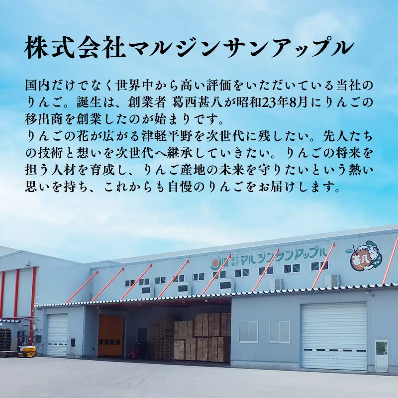 りんご 【2027年5月発送開始】青森県産 ふじ 特選 約5kg 3ヶ月定期便【hi-0058-185】