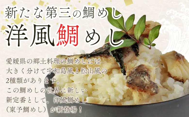 ＜愛媛の洋風鯛めしセット 2袋＞『最短10営業日以内に順次発送予定』鯛 真鯛 まだい マダイ 天然真鯛 郷土料理 丼 魚介 海の幸 海鮮 炊き込みご飯 洋風 バター 出汁たれ 切り身 切身 国産 2合炊き お取り寄せ グルメ YNコーポレーション 愛媛県 西予市【冷凍】OYN0009