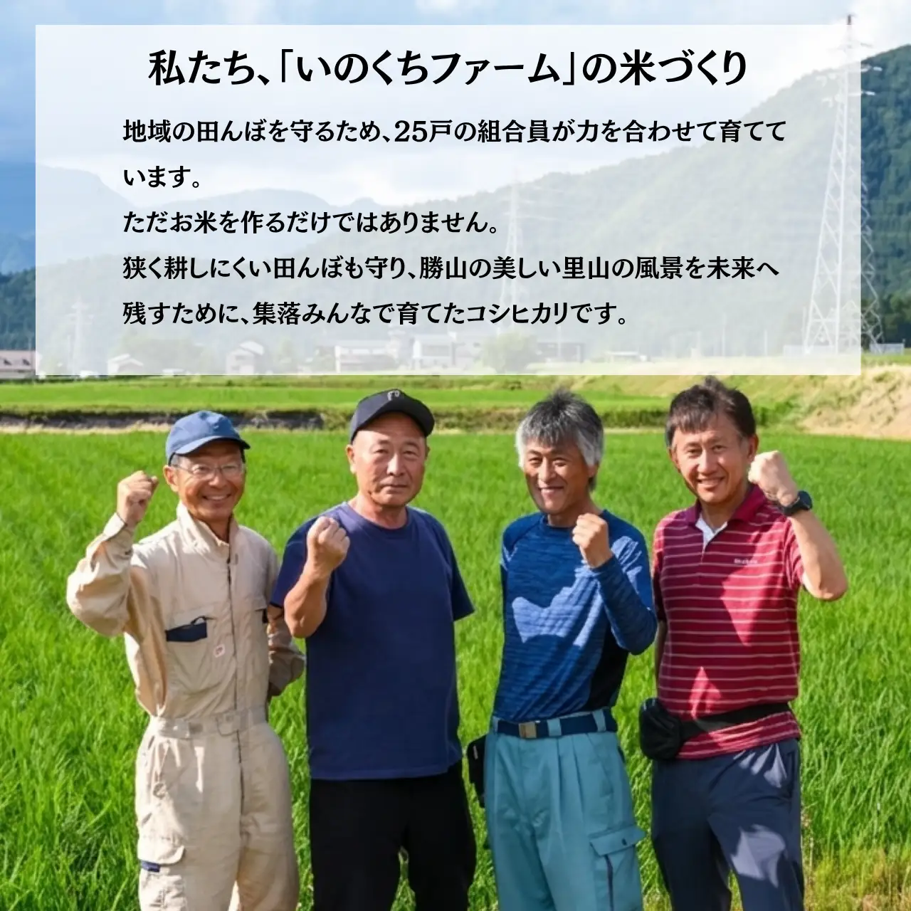 米 コシヒカリ 精米 10kg 令和8年産 先行予約 [B-103001]