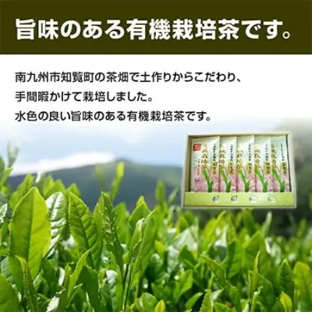 【のし付き・お中元】知覧茶有機栽培茶 90g 計5本セット【1754437】