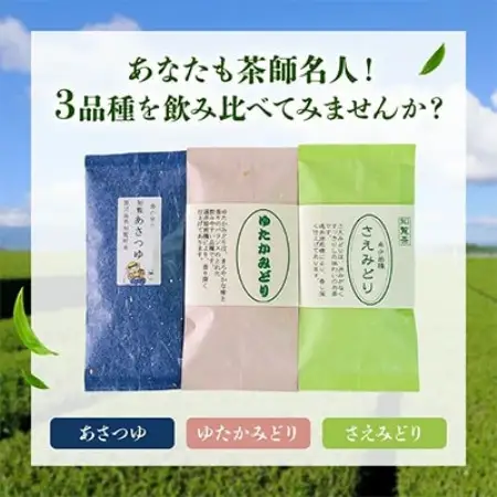 【のし付き・お中元】人気3品種知覧茶飲み比べ 計300gセット【1754498】