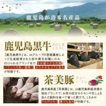 【発送月固定定期便】鹿児島黒牛・茶美豚食べ比べ定期便(南九州市)全3回【配送不可地域：離島】【4088657】