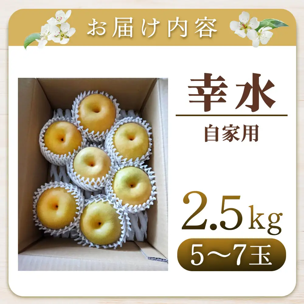 幸水【自家用】2.5kg（岸田秀果園） 鳥取 梨 なし ナシ 果物 フルーツ 和梨 幸水梨 こうすいなし 人気 産地直送