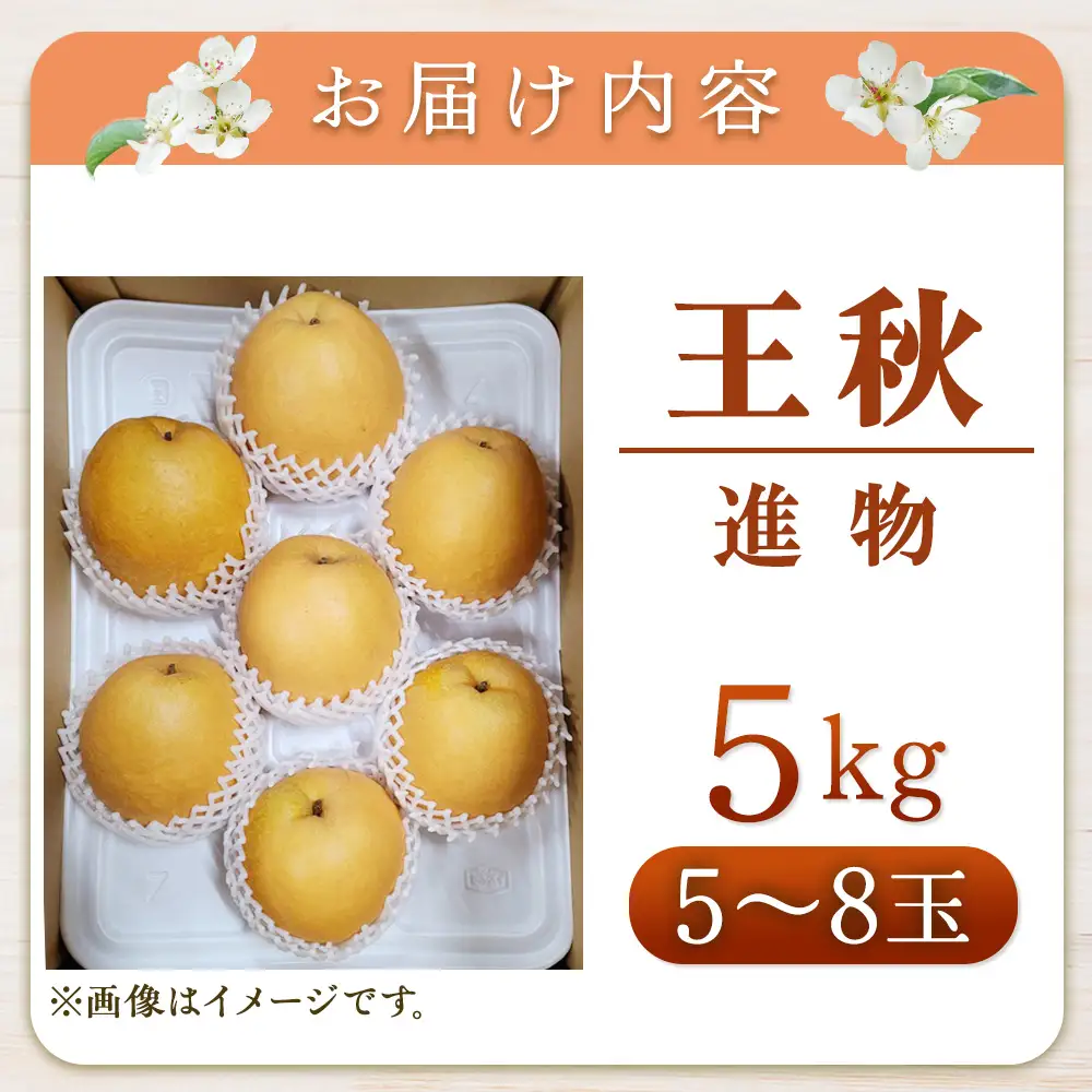 王秋【進物】5kg（岸田秀果園） 鳥取 梨 なし ナシ 果物 フルーツ 和梨 王秋 おうしゅうなし 人気 進物 贈答用