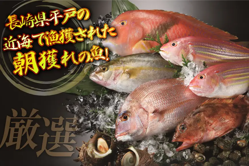 魚 地魚 詰め合わせ 3～5尾