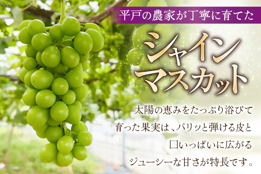 シャインマスカット 大粒 種なし 約800g 2p 計1.6kg