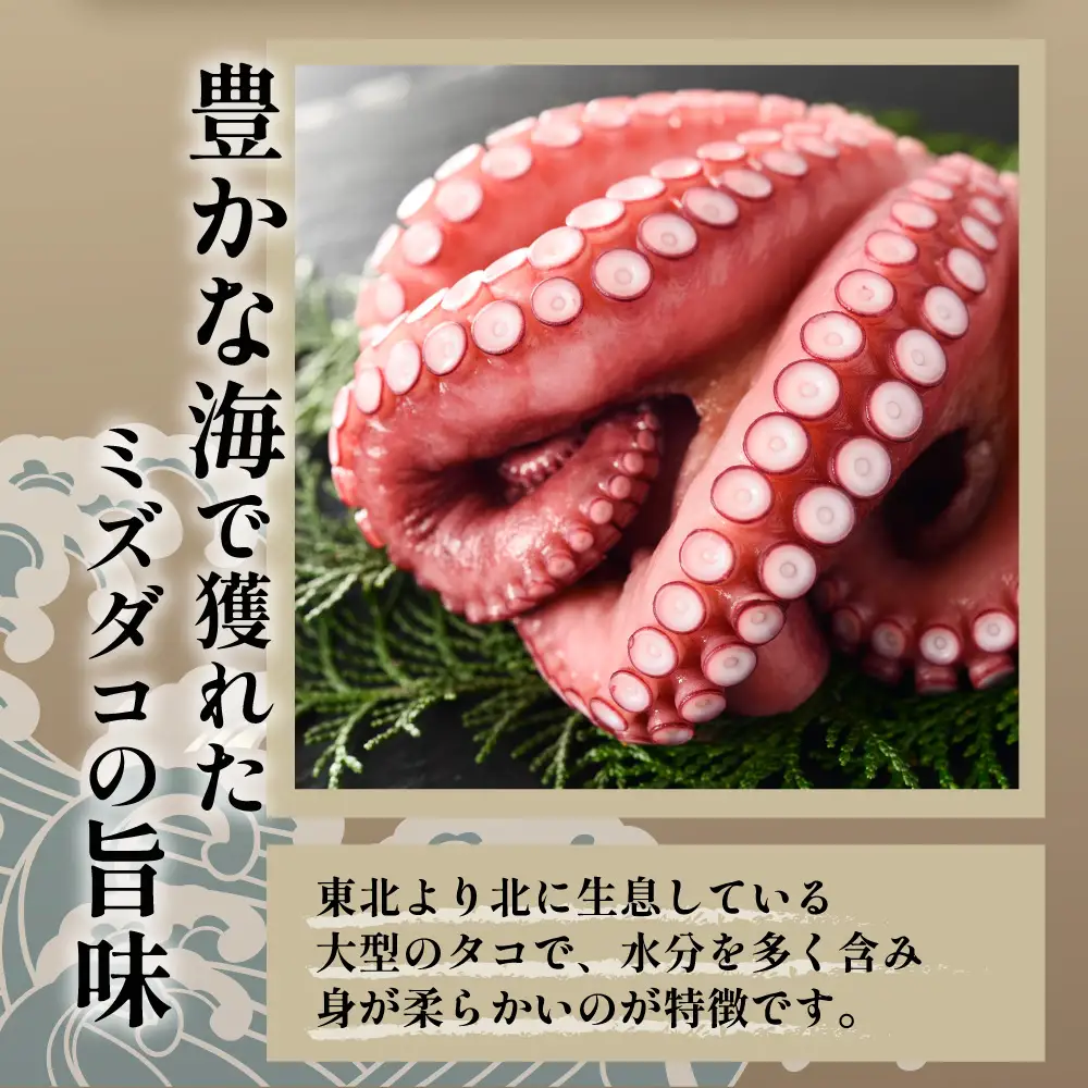 【遠別農業高校コラボ】海鮮の旨み溢れる　たこめしセット