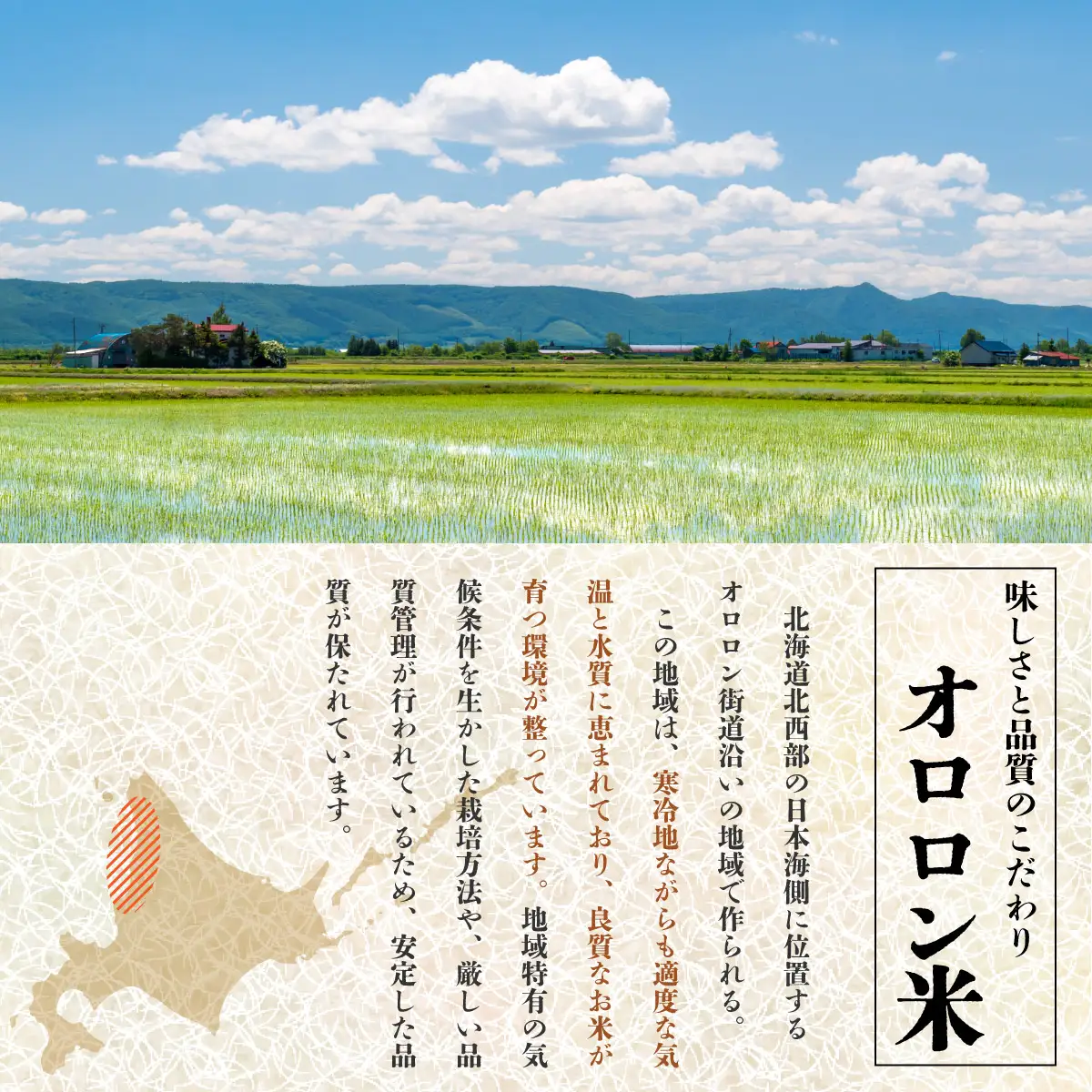 【日本最北のもち米生産地からお届け】はくちょうもち（もち米）5kg【令和７年産新米】