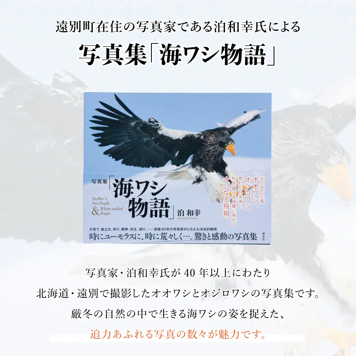 【写真集】海ワシ物語【泊和幸　野生塾】