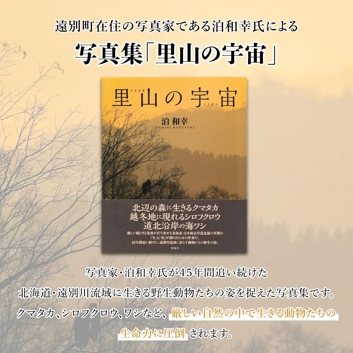 【写真集】里山の宇宙（さとやまのくうかん）【泊和幸　野生塾】