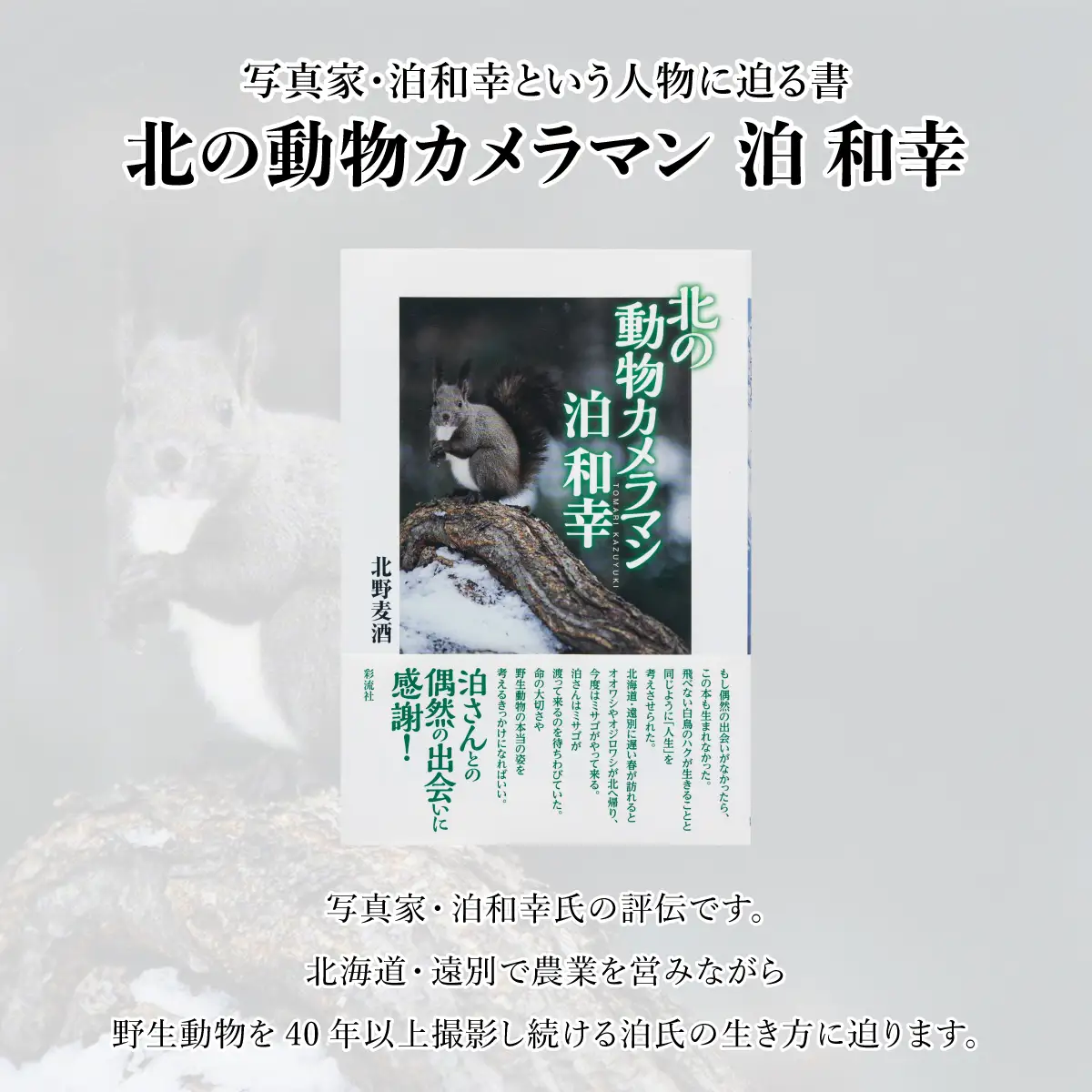 ｢北の動物カメラマン泊和幸 ｣北野麦酒 筆 彩流社　野生塾