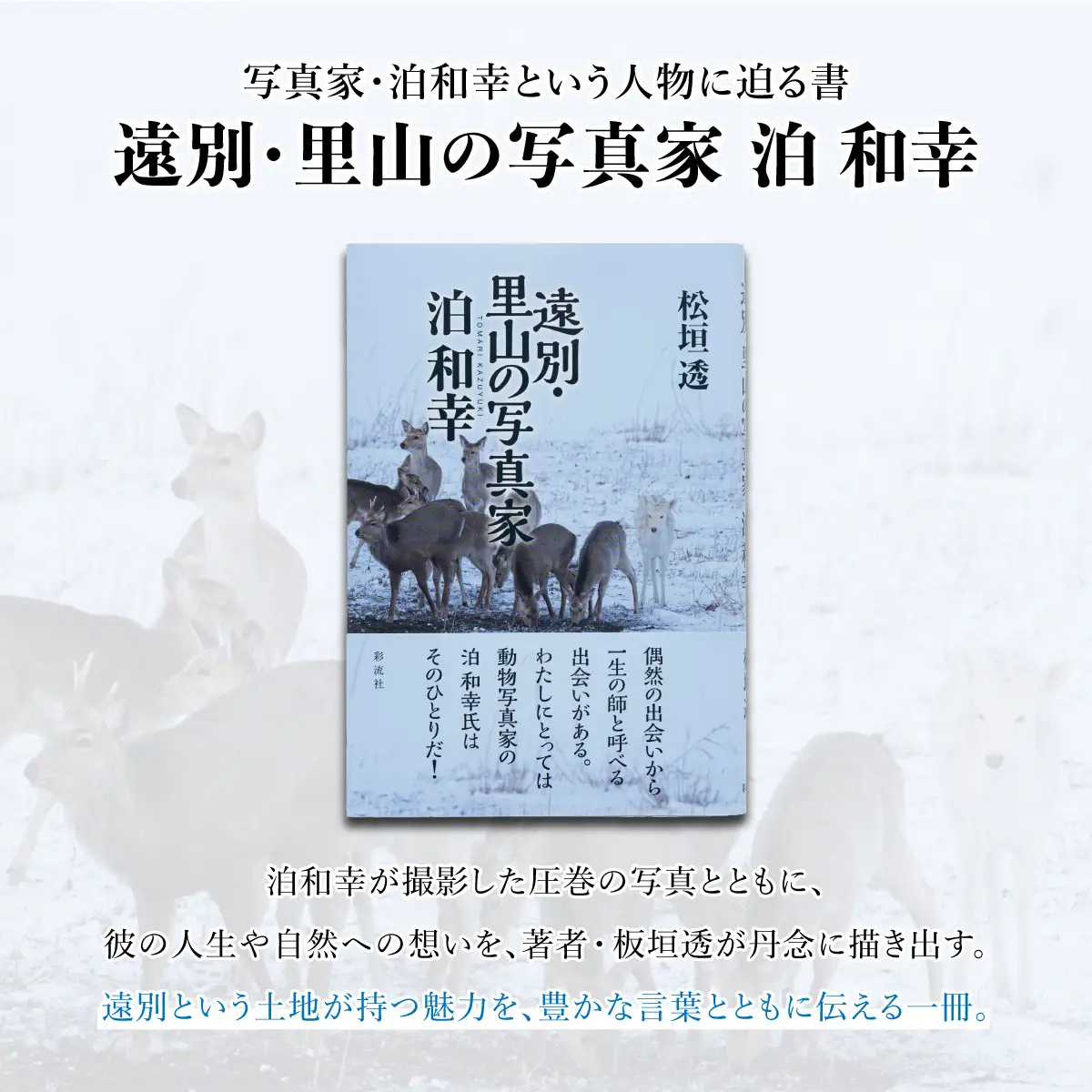 「遠別・里山の写真家　泊和幸」 （著：松垣透）　彩流社　【野生塾】