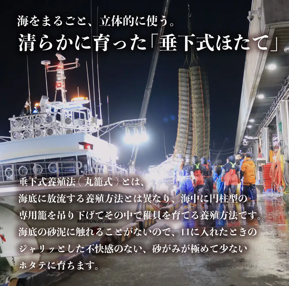【訳あり　サイズ不揃い】北海道　遠別町産ホタテ貝柱　選べる　容量（約1kg）　帆立　刺身　冷凍　小分け　規格外