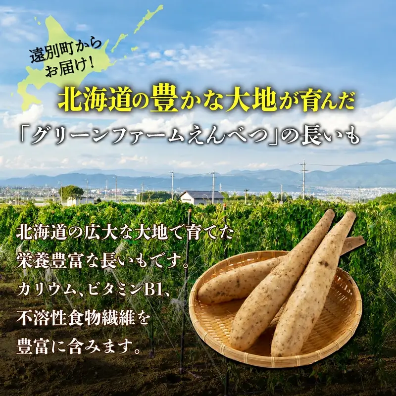 【2026年12月上旬より発送】訳あり吉兆長芋（3kg）　長いも　ながいも　山芋　いも　とろろ　野菜　北海道　遠別町