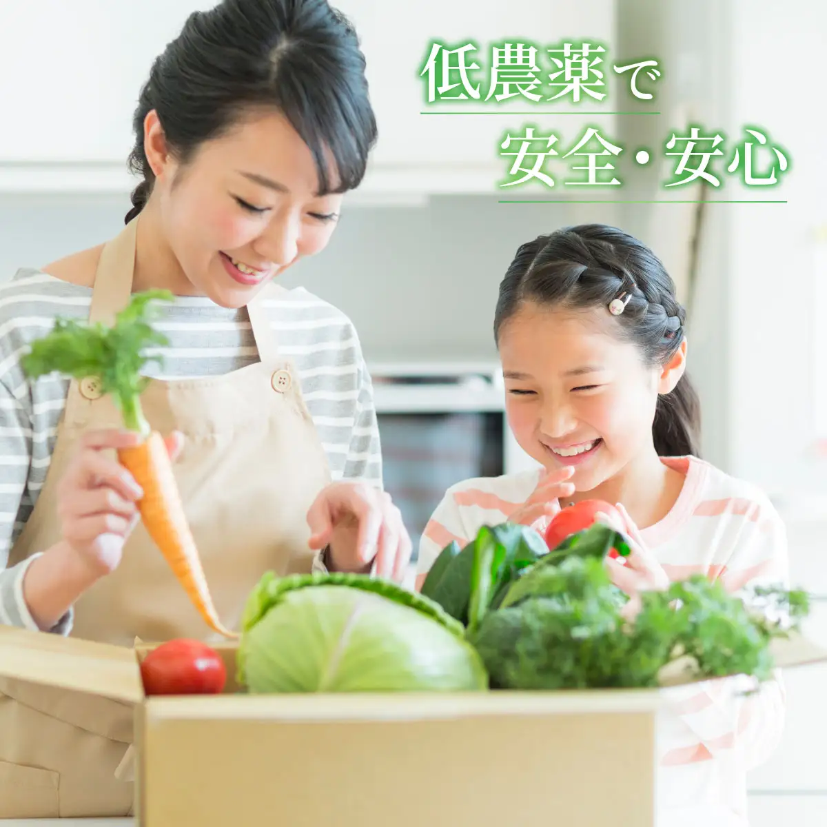 新鮮野菜オリジナル詰め合わせセット【フレッシュ市場・花菜夢】