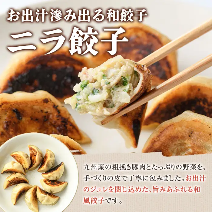 手づくり和餃子セット(ニラ餃子12個入×4袋+大葉餃子12個入×4袋・合計96個) 餃子 生餃子 ギョウザ ぎょうざ ギョーザ セット 詰め合わせ おかず お惣菜 冷凍 和風 水餃子 にら ニラ 大葉 手作り 食べ比べ 【餃子のはま田】akn096-04