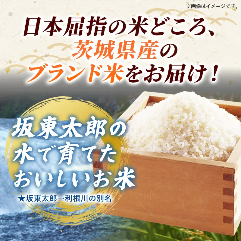 新米 先行受付 令和8年産 『こしひかり』『ひとめぼれ』 10kg (各5kg×1袋ずつ) 米 お米 白米 コメ こめ 食べ比べセット コシヒカリ ひとめぼれ 先行予約 2026年 人気 家計応援 単一米 茨城県 五霞町