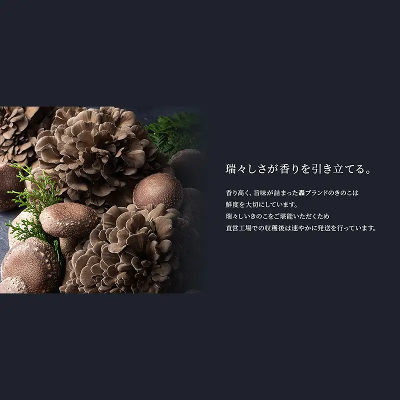 規格サイズにこだわらない轟生しいたけ 1kg きのこ キノコ 野菜 食品 F21E-530