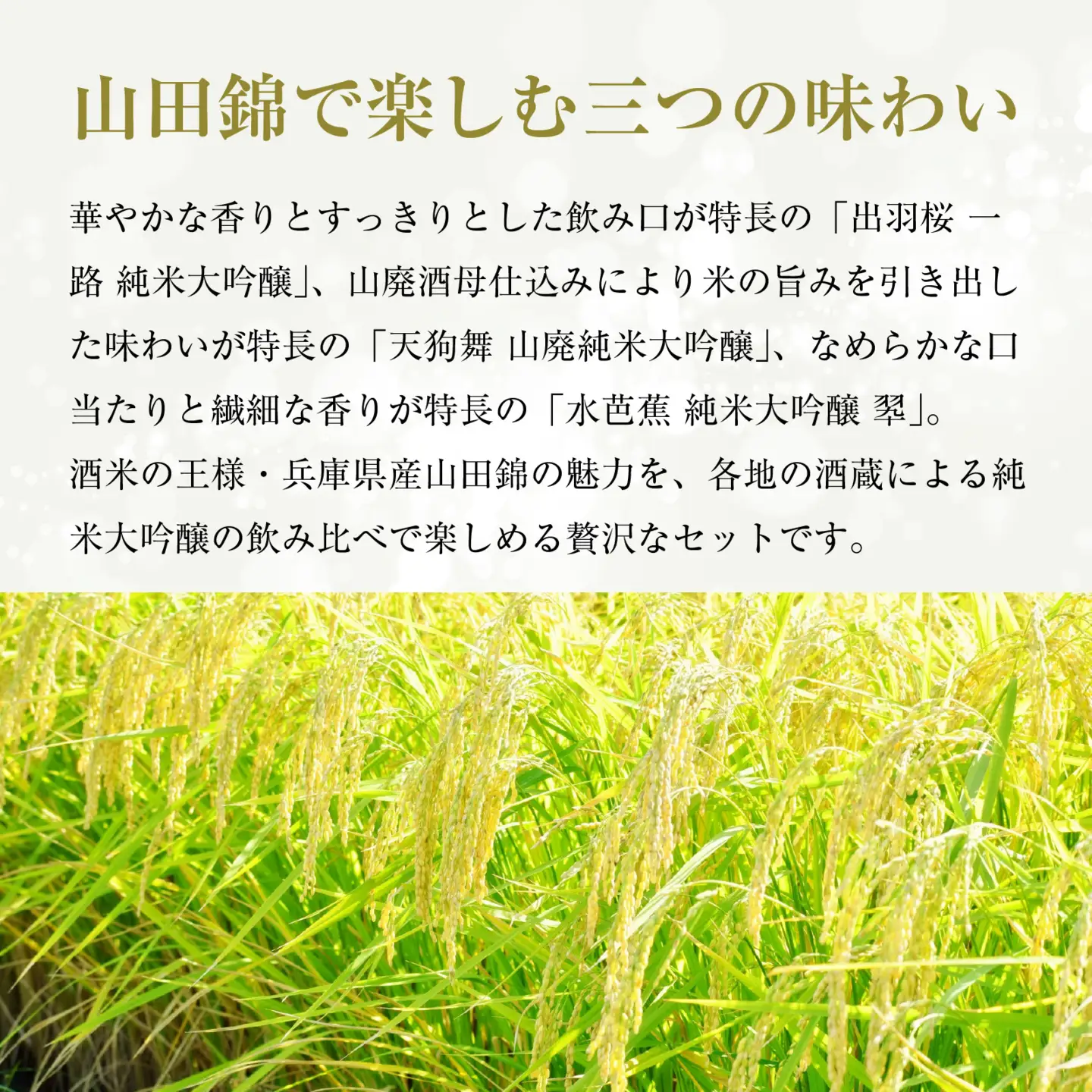 【出羽桜 天狗舞 水芭蕉】 兵庫県産山田錦を使用した全国の酒蔵 純米大吟醸 飲み比べセット (720ml x 3本) 