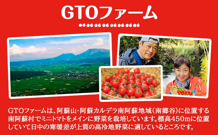 ドライミニトマト セット 60g トマト ミニトマト 野菜 GTOファーム 熊本県 南阿蘇村《7月上旬-10月末頃出荷》