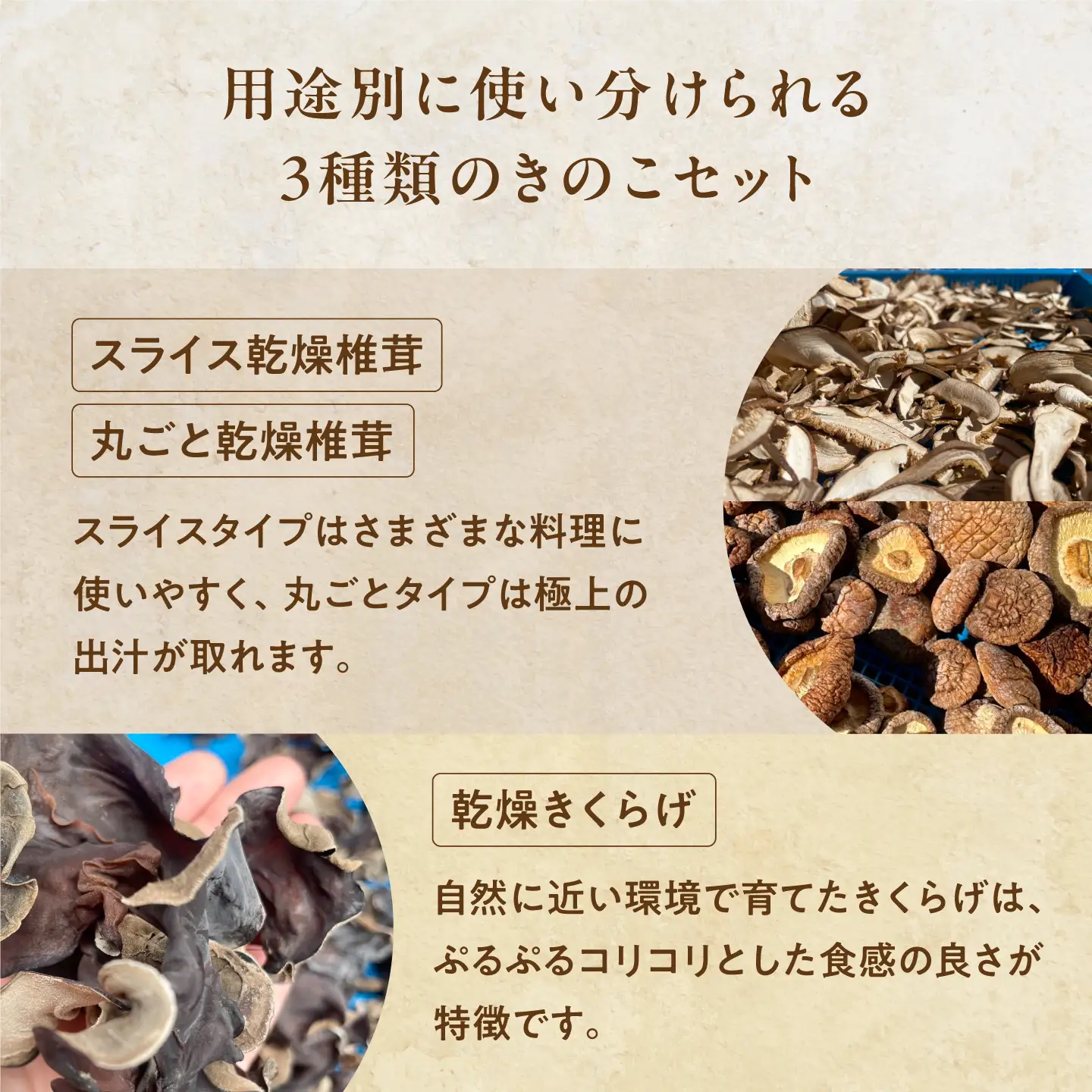鯖江隠れ家きのこの乾燥きのこ３種セット　野菜 食事