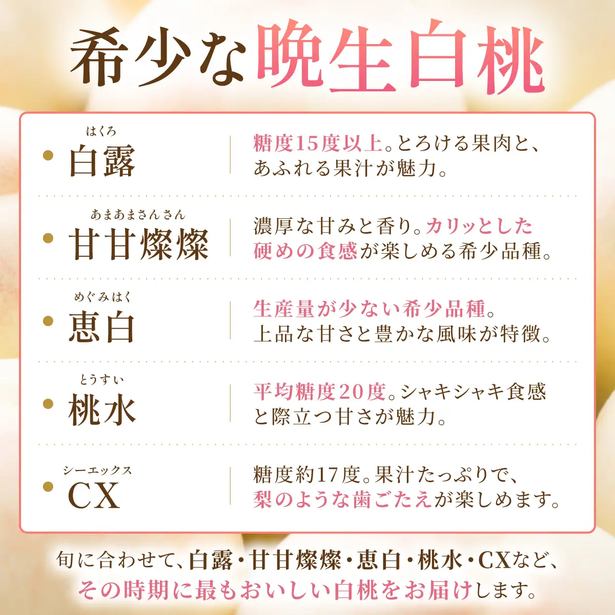 【先行予約】岡山の白桃・晩生　1.5kg箱　9月上旬から順次発送予定
