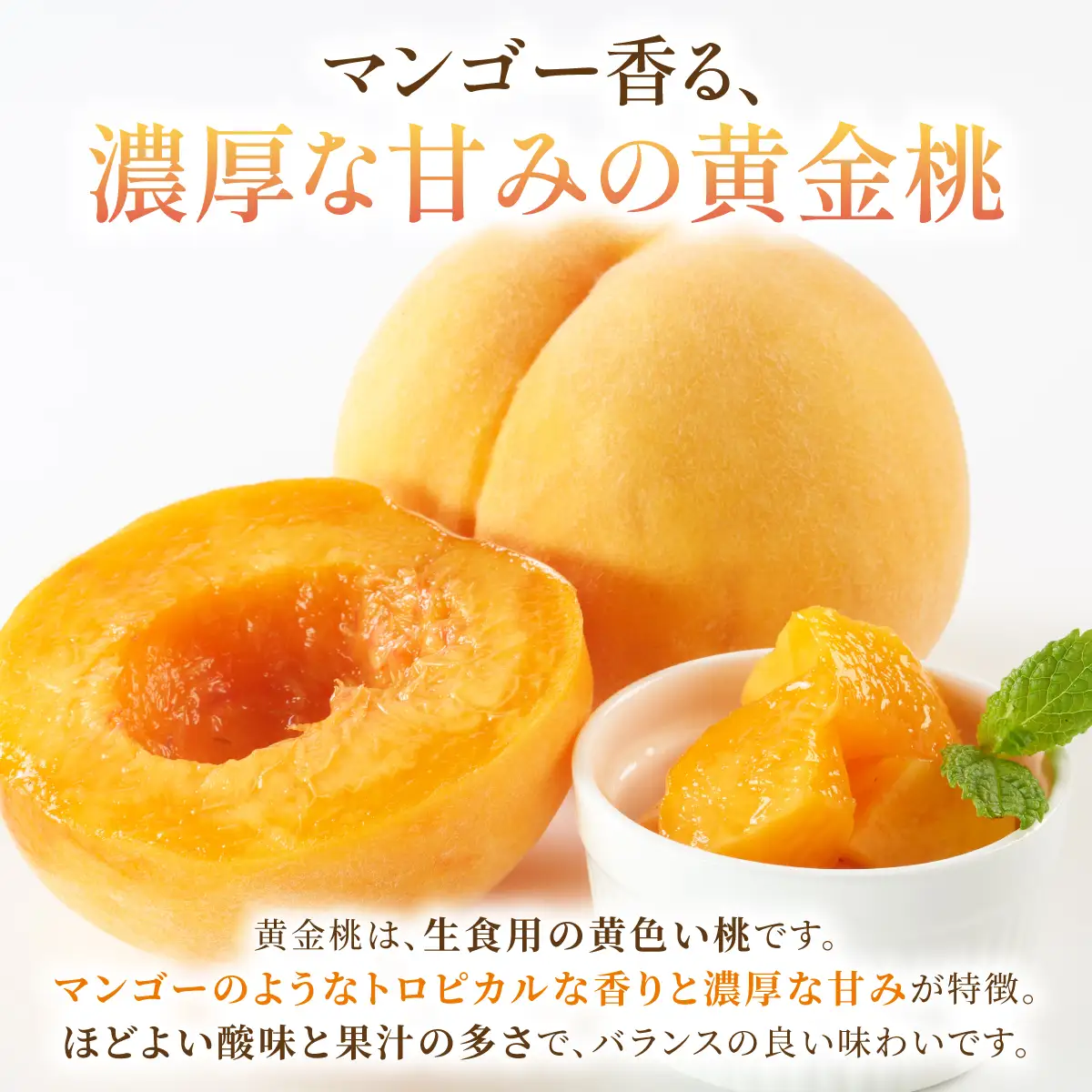 岡山県産・マンゴーの様な黄色い桃・黄金桃　1.5kg箱