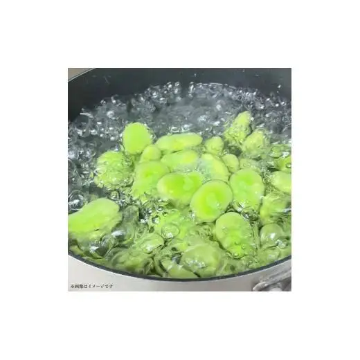 文ちゃん農園の天豆（そらまめ）約3kg ／ そら豆 そらまめ ソラマメ 空豆 天豆 豆 産地直送 野菜 3kg 千葉県 送料無料