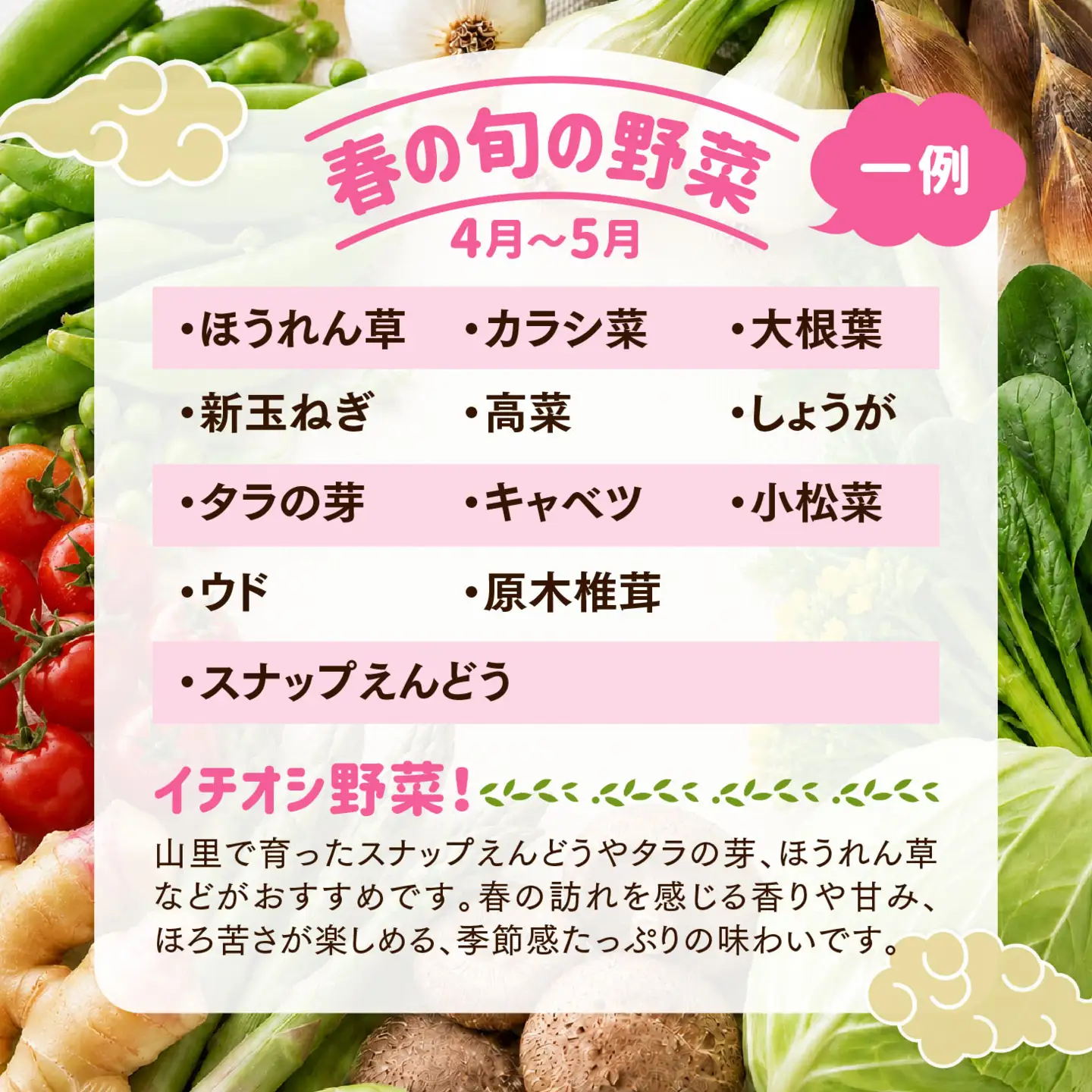 【定期便12回】久万高原 天空の旬野菜便2kg【面河特産品開発センター厳選】｜野菜詰め合わせ 5〜6品目 新鮮野菜 定期便 愛媛県産 産地直送