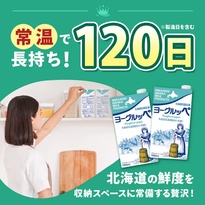 【3ヶ月定期便】ロングライフ 常温保存可能 ヨーグルッペ 1000ml × 12本 日高乳業《お申込み翌月から出荷》