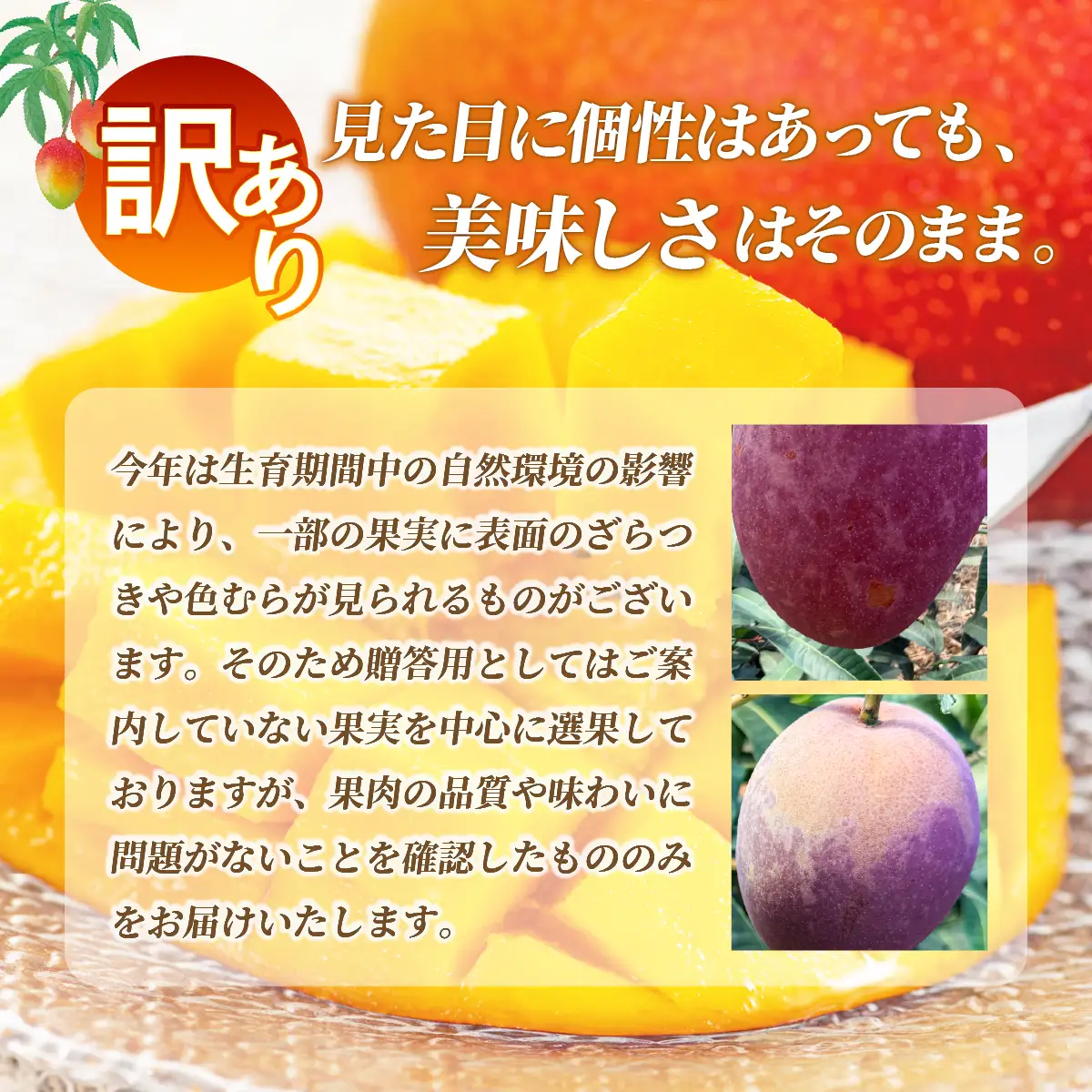 【自家用】完熟マンゴー 2玉（約700g）《2027年6月中旬順次発送》