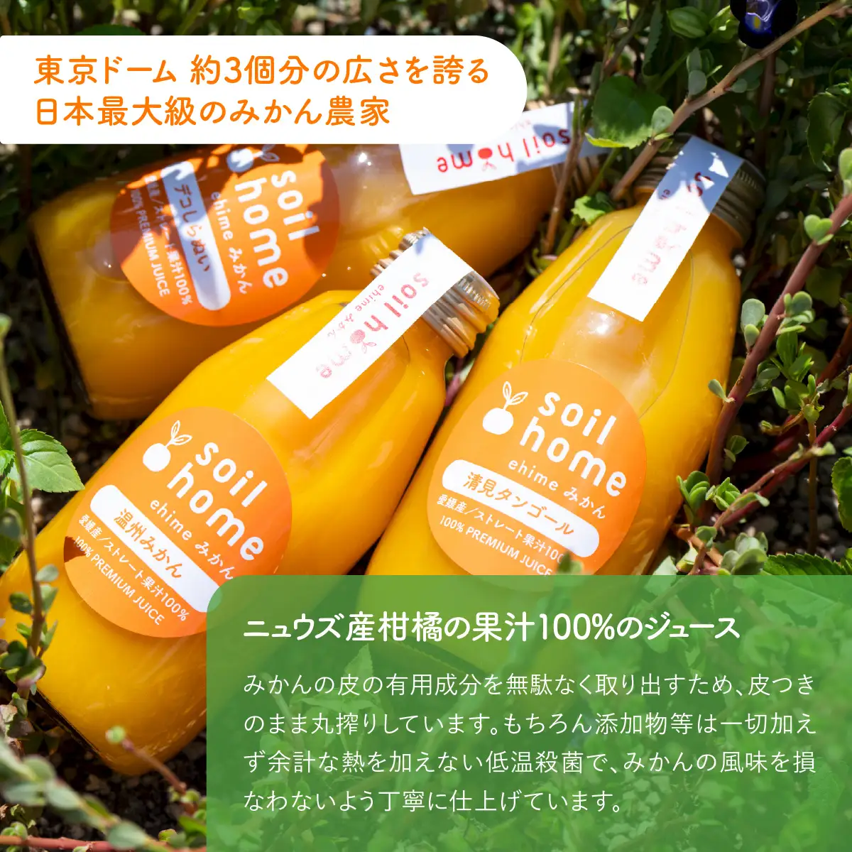 ジュース3種6本(200ml×6本)　 IKTF040
