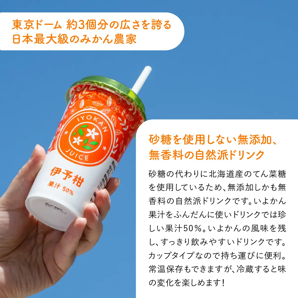 伊予柑カップドリンク12本入り IKTF042