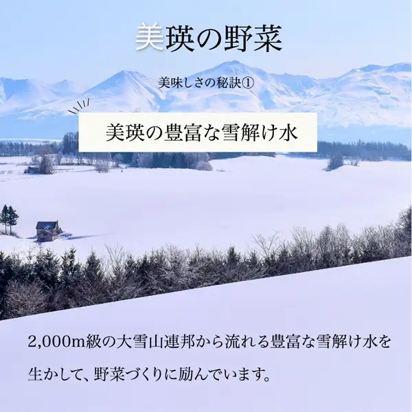 野菜セット 【令和9年産予約受付】 5回 定期便 美瑛の四季 鈴蘭（大） 野菜詰め合わせ
