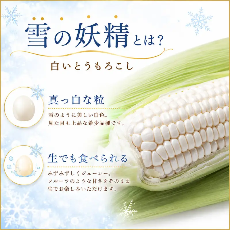 訳あり 白いとうもろこし 約3kg 【とうもろこし】